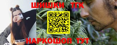 крисы Заводоуковск