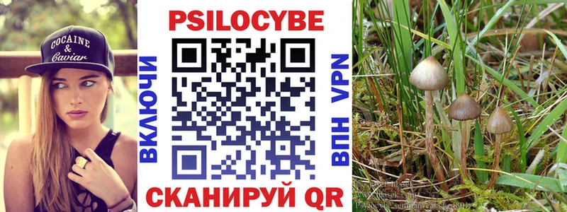 Галлюциногенные грибы Psilocybe  блэк спрут сайт  Славянск-на-Кубани 