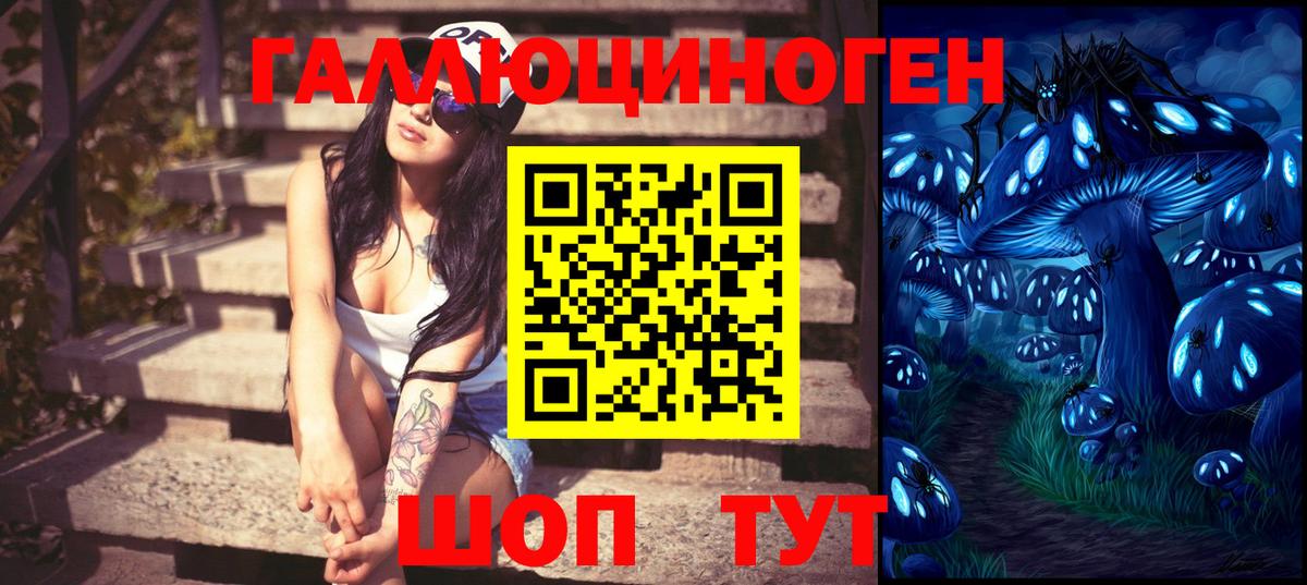 купить наркоту  Славянск-на-Кубани  Галлюциногенные грибы Cubensis 