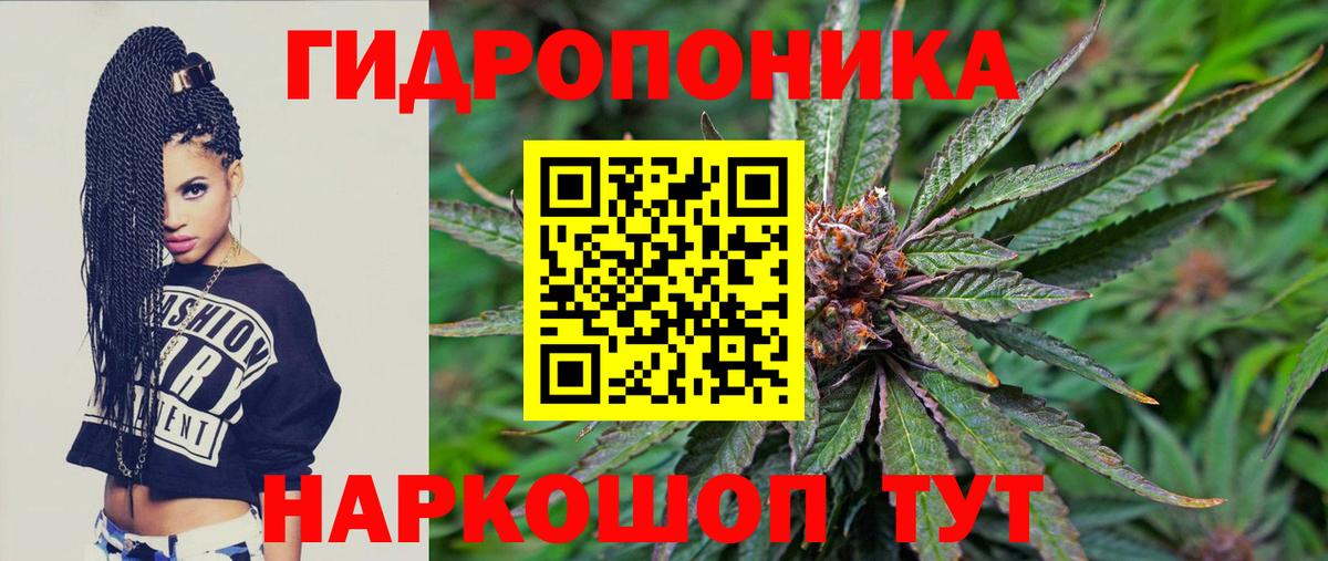 Бошки марихуана сатива Славянск-на-Кубани
