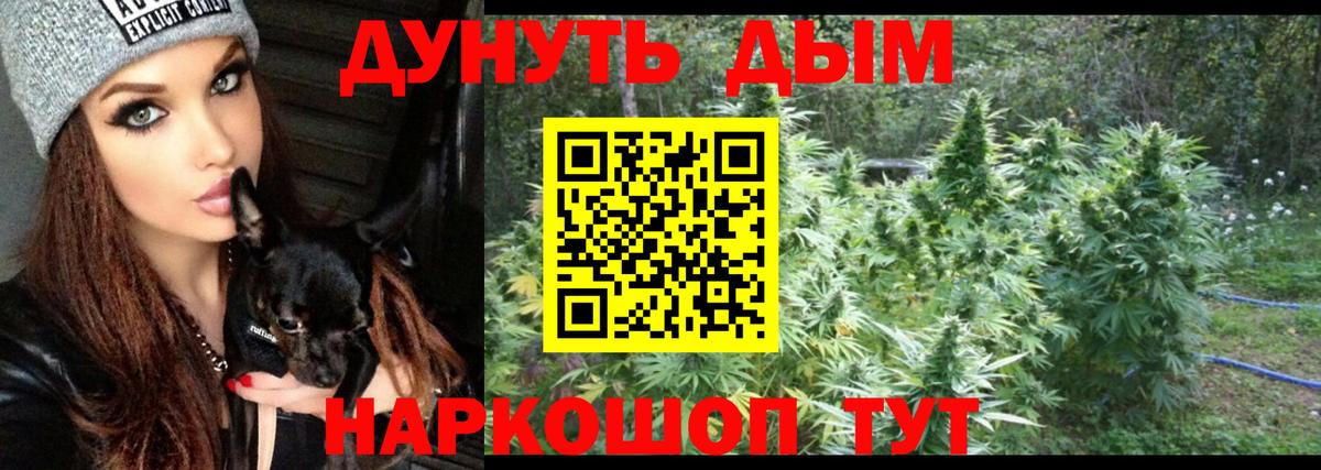 Шишки марихуана марихуана  Славянск-на-Кубани  Бошки марихуана AK-47  Канабис индика 